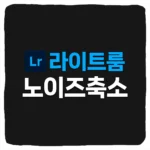 라이트룸 노이즈 축소 향상 일괄 적용 한번에 하는 방법