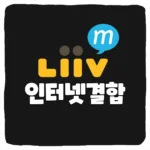알뜰폰 리브엠모바일 인터넷 결합 및 KB Liiv M SKT KT LG U+ 인터넷 IPTV 결합할인