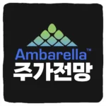 AMBA 주가 전망 및 암바렐라 주식 예측 재무제표